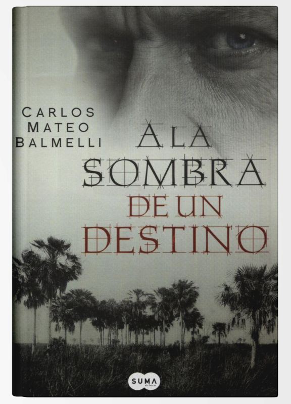 117 carlos mateo balmelli a la sombra de un destino scaled e1763646831770.png