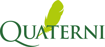 quaterni logo